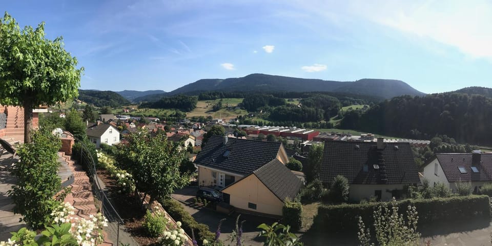 Schwarzwald Lodge Oppenau Apartment in Ortenau