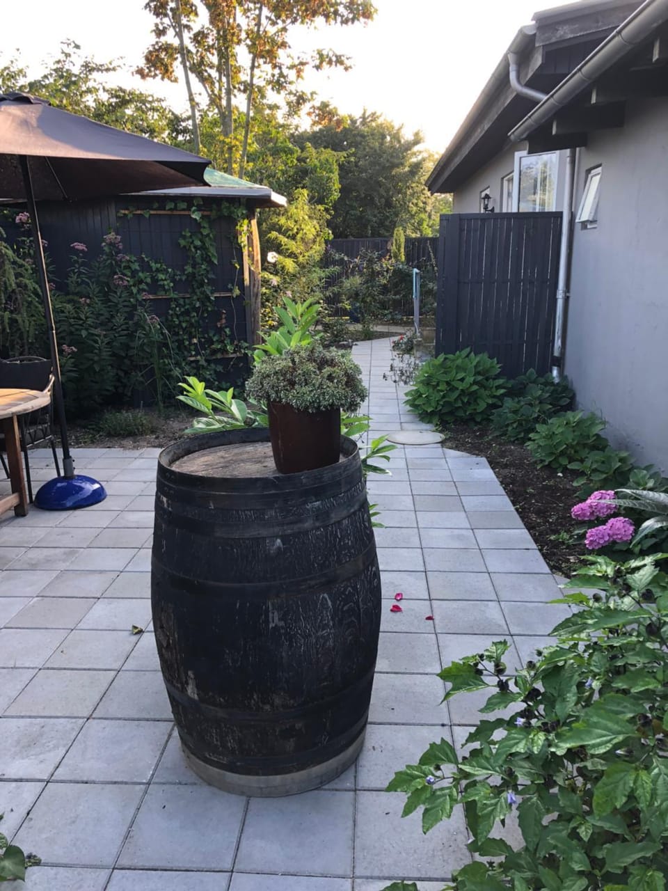 Garden