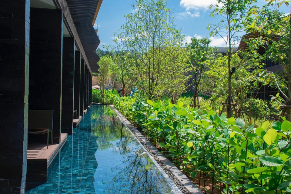 Balcony/Terrace, Swimming pool