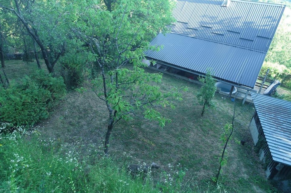 Property building, Day, Garden