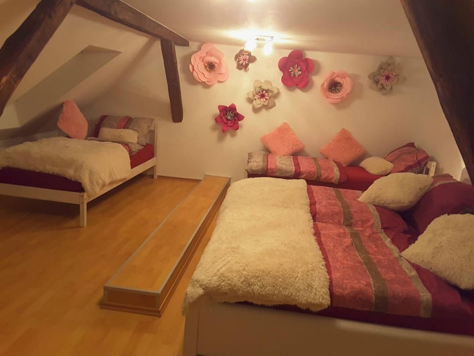DELUX duplex apartment Apartment in Slovenia