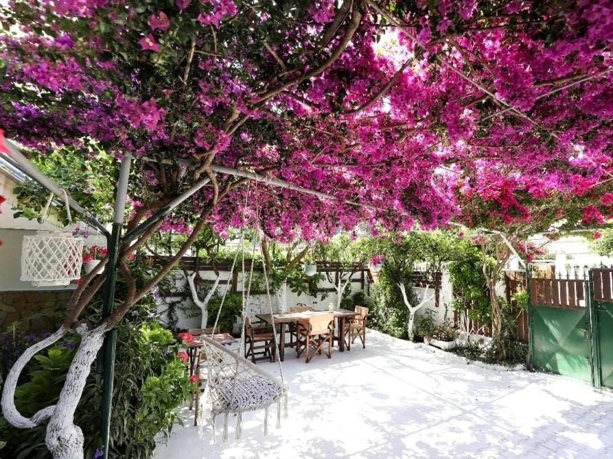 Apartments Athina Orikum Apartment hotel in Vlorë County, Albania