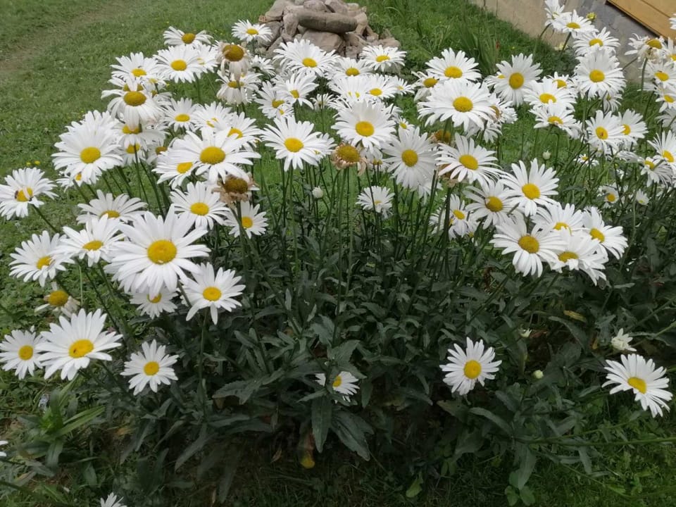 Marichka Bed and Breakfast in Ukraine