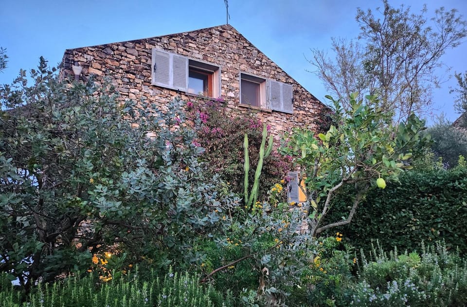 Casa del Dragone Villa in Ascea