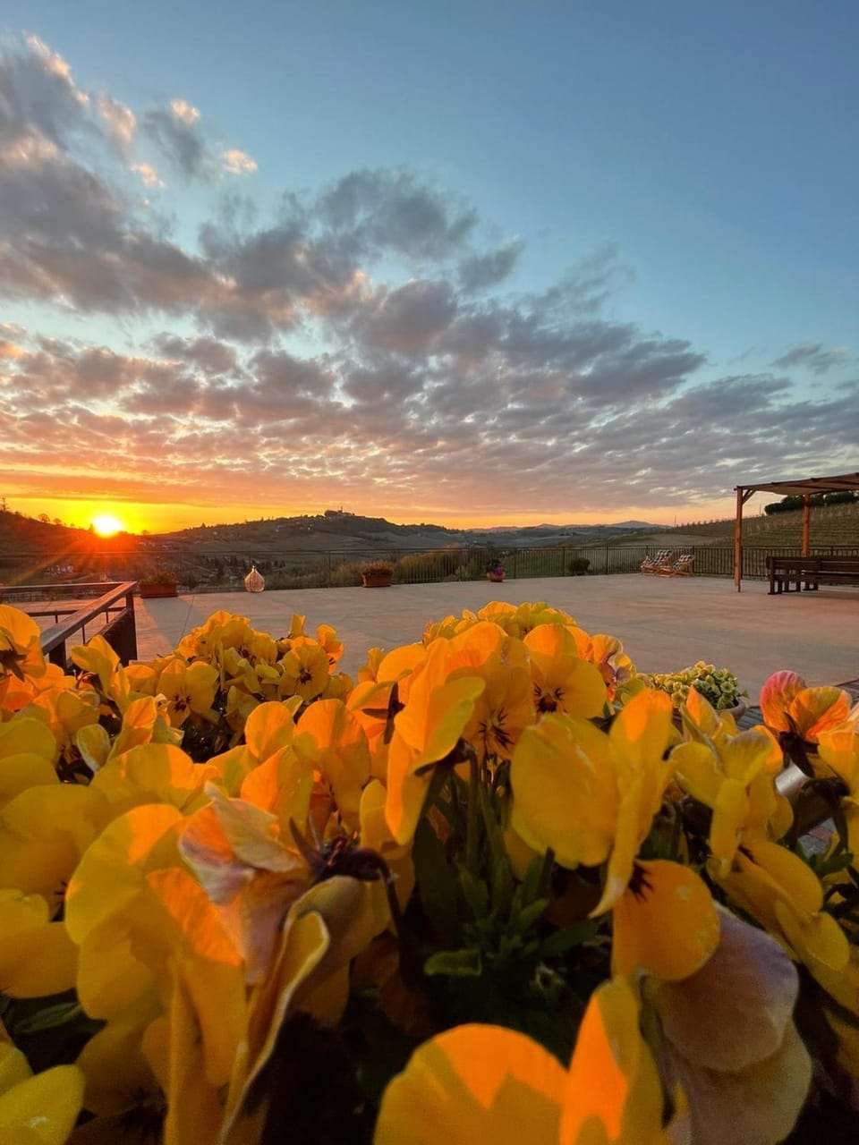 Agriturismo Cà del Nono Farm Stay in Piedmont