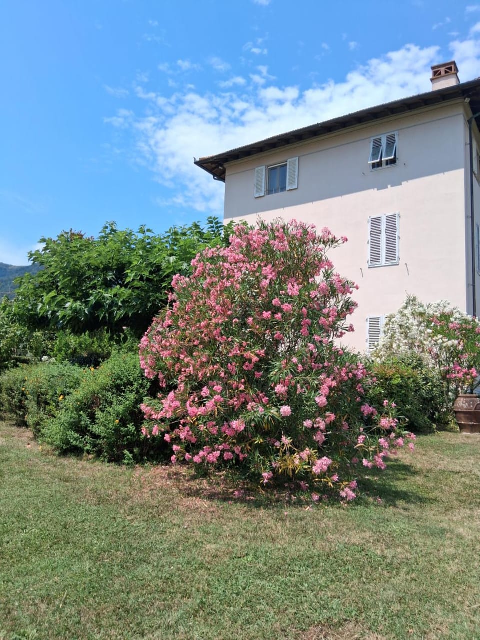 La cantina di Tonino Apartment in Lucca