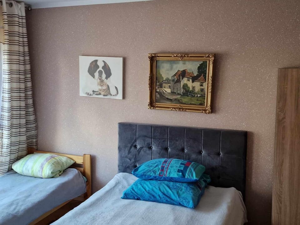 Bed, Photo of the whole room