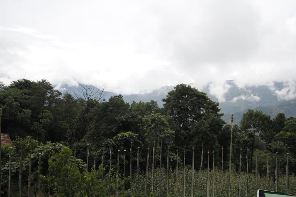 Natural landscape