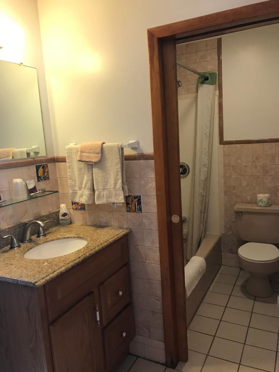 Shower, Toilet, Bathroom