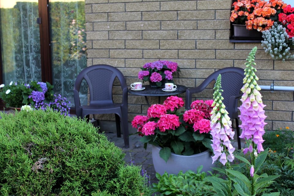 Day, Garden, Garden view