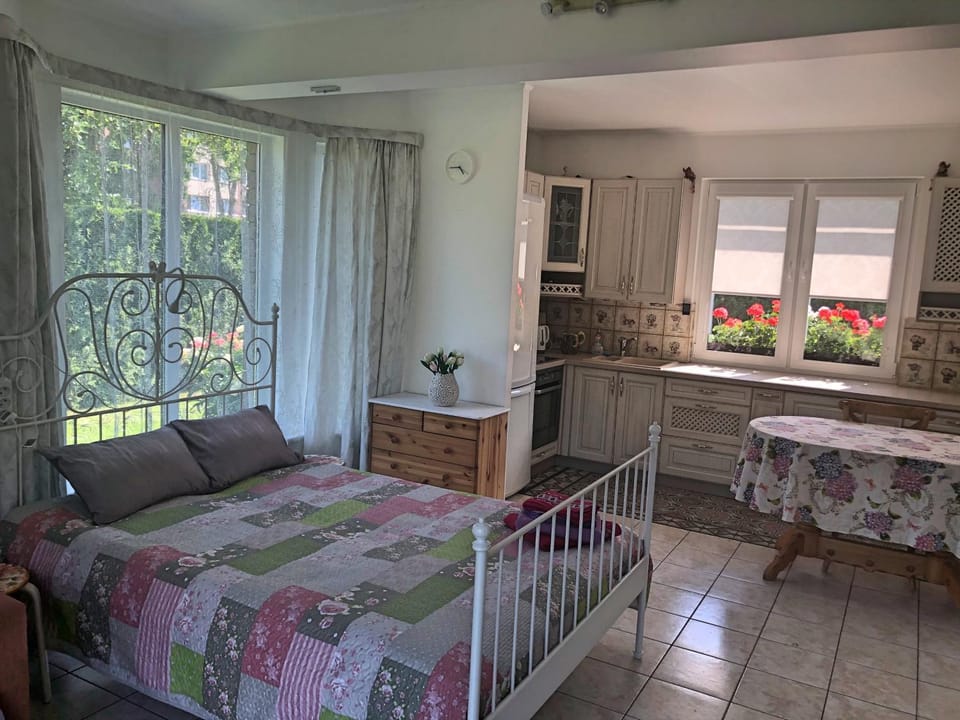 Bed, Kitchen or kitchenette, Photo of the whole room, Dining area, Bedroom