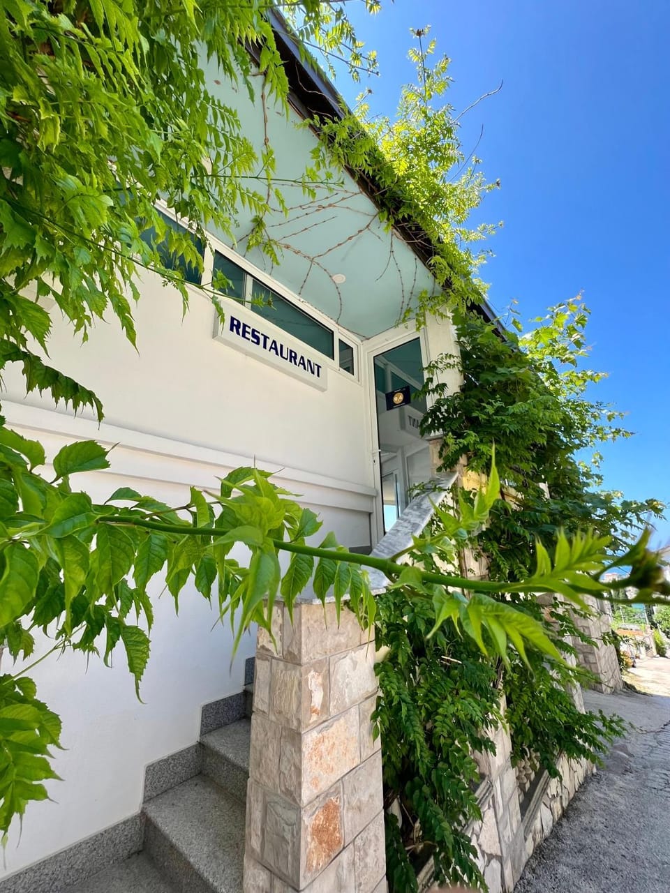 Property building, Spring, Day, Garden