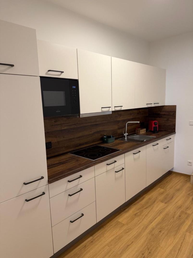 Kitchen or kitchenette, dishwasher, stove