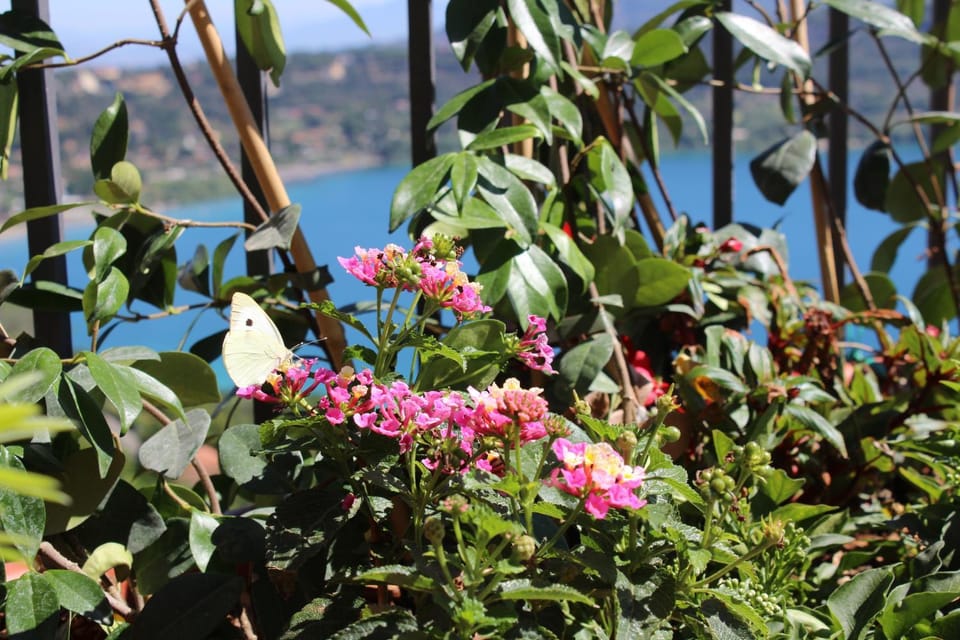 La Casetta Superior Apartment in Lazio