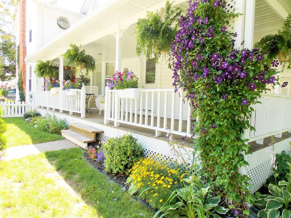 Garden, Garden view