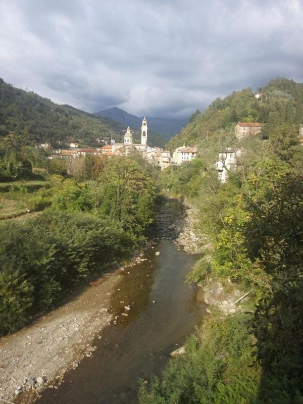 Neighbourhood, Natural landscape