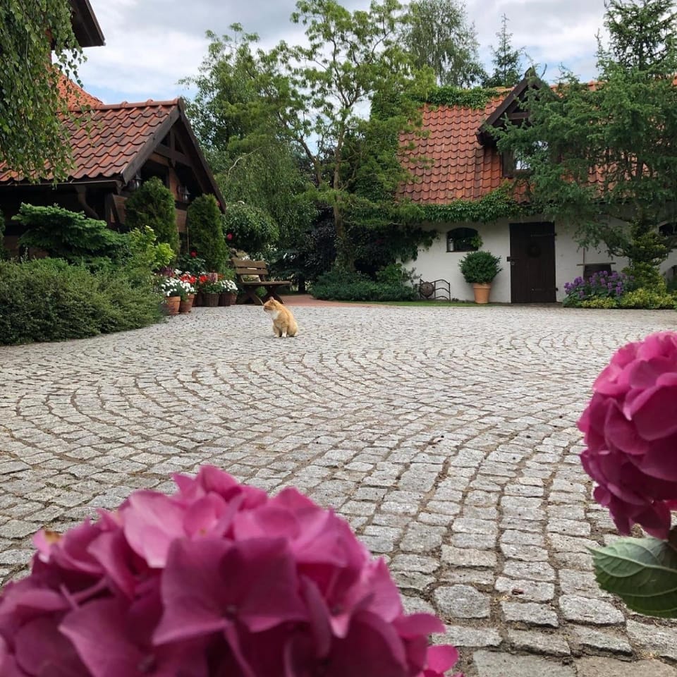 Dworek Szyszki - Kaszuby House in Pomeranian Voivodeship