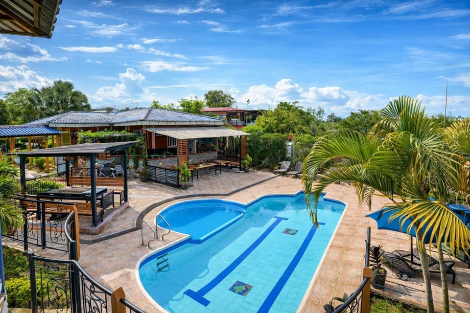 Day, Garden view, Pool view, Swimming pool
