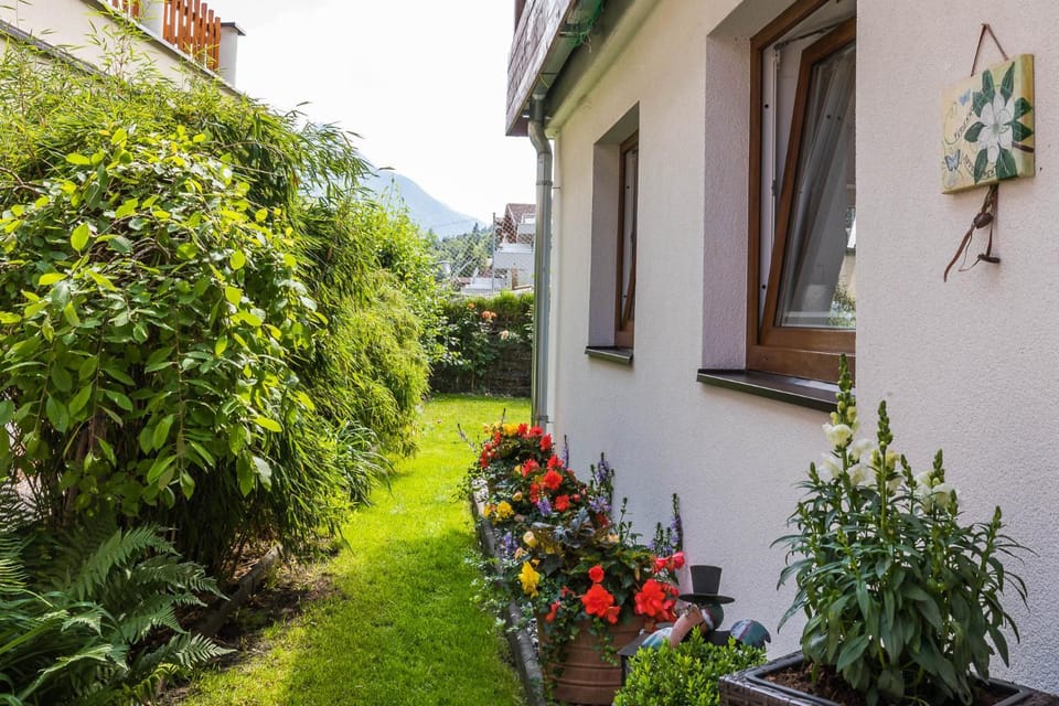 Property building, Garden view