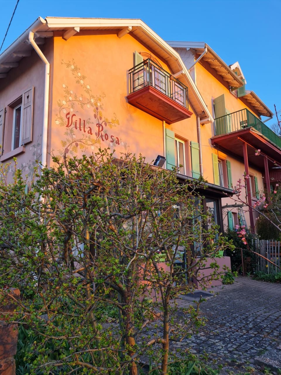 Villa Rosa Trois Epis Bed and Breakfast in Grand Est