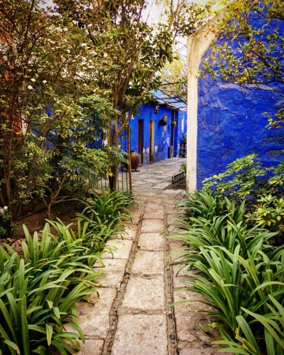 Patio, Garden