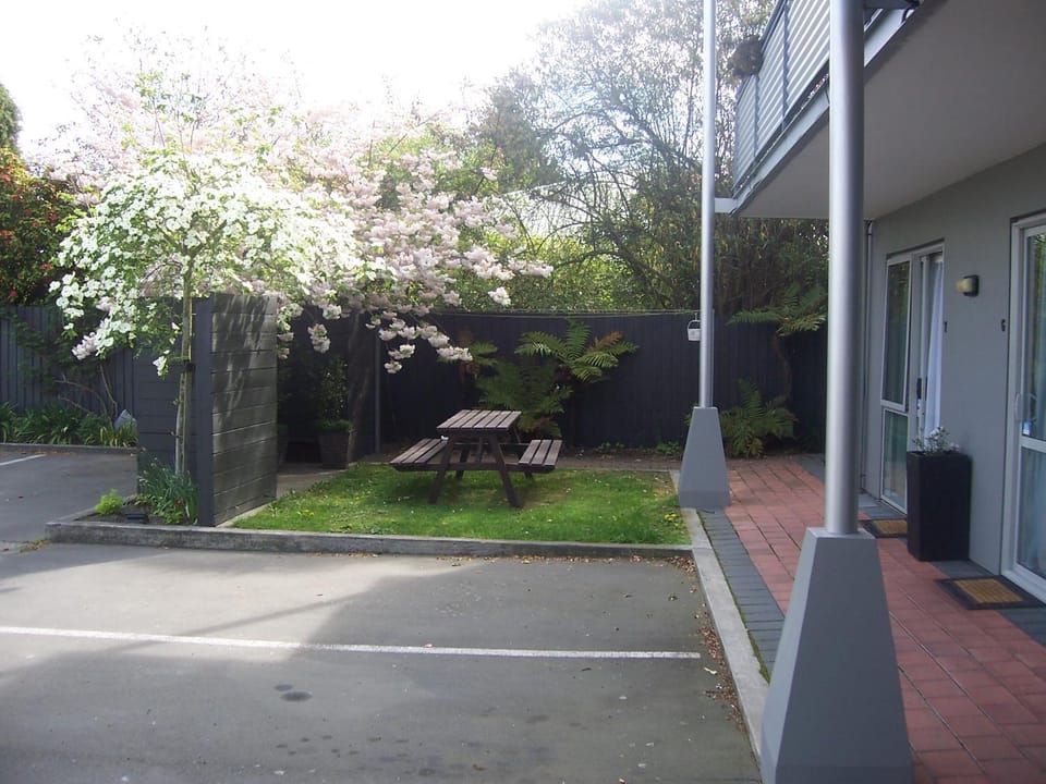 Patio, Garden
