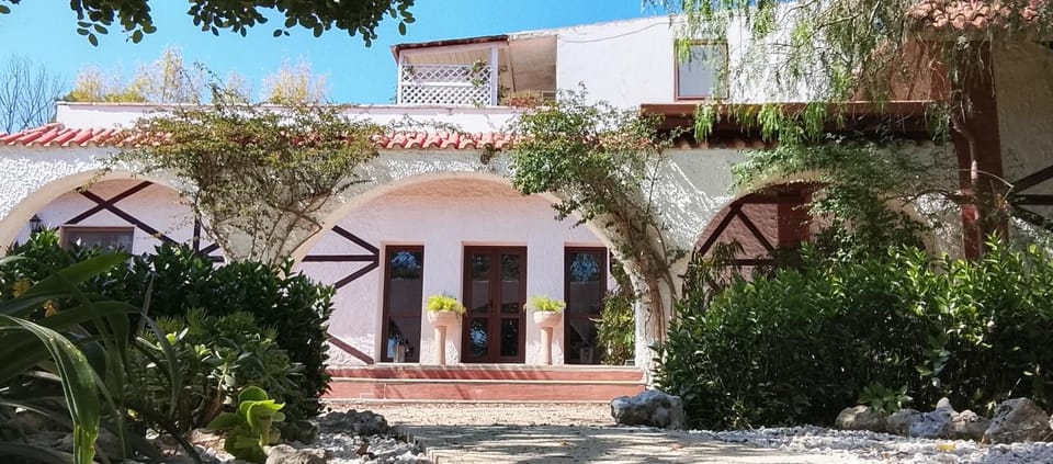 Property building, Garden