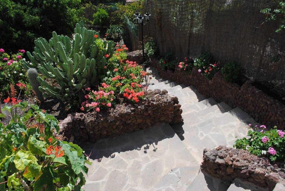 Bird's eye view, Garden