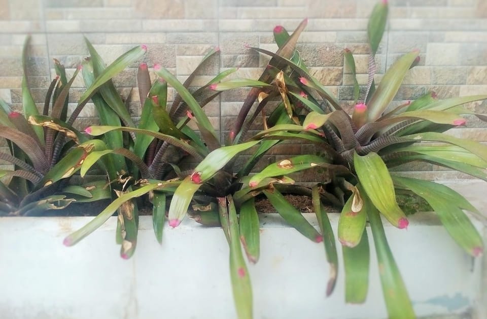 Homestay Bumi Asri III Cikutra House in Bandung