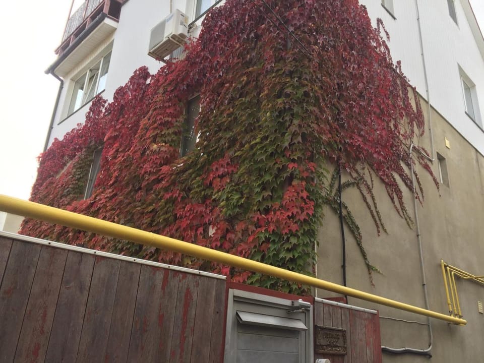 Дом у моря Одесса Bed and Breakfast in Odessa