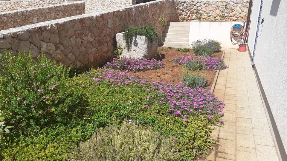 Lorena Apartment in Cres