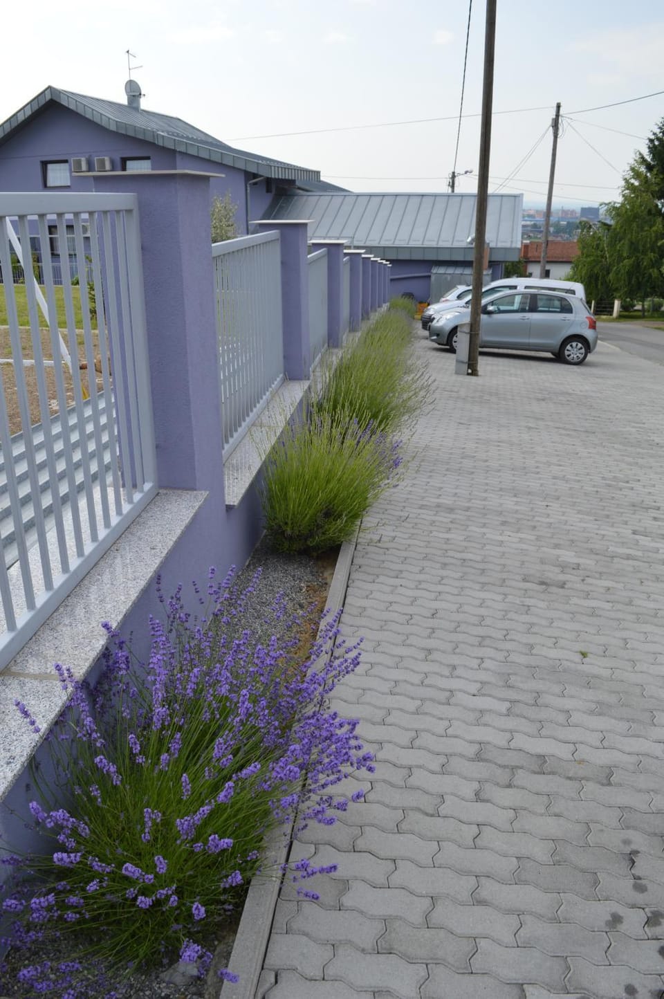 Neighbourhood, Parking