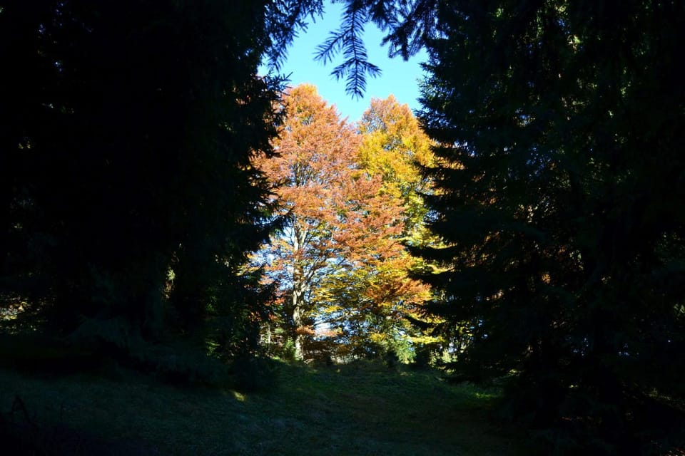 Off site, Natural landscape, Hiking, Autumn