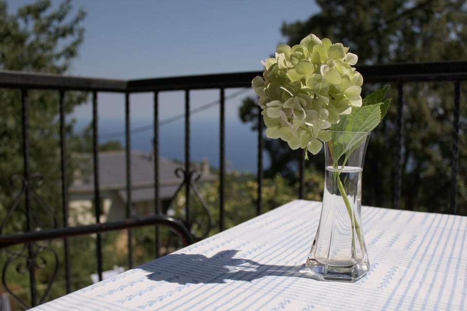 Balcony/Terrace, Decorative detail