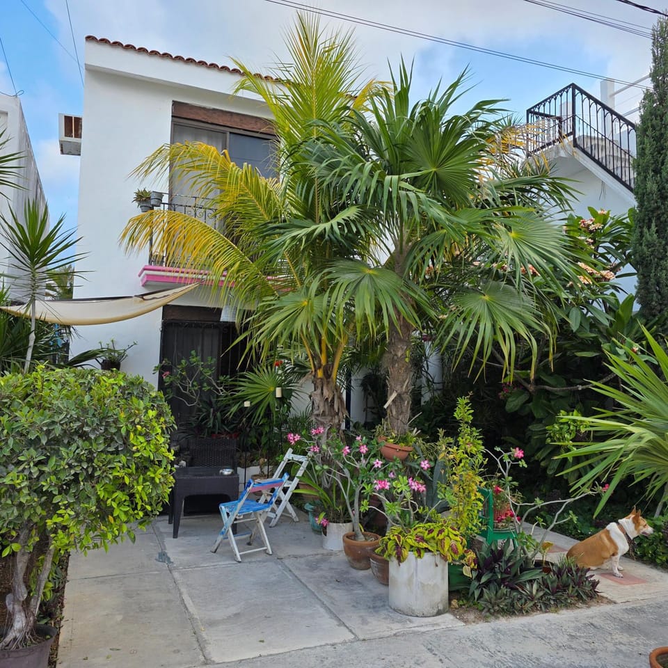Property building, Patio