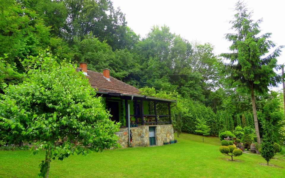 Property building, Garden view