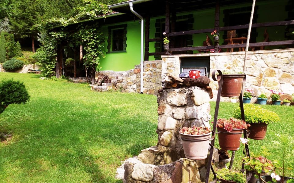 Garden, Decorative detail, Garden view