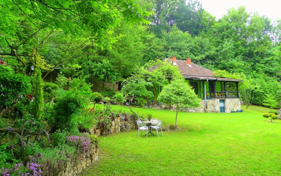 Property building, Garden view