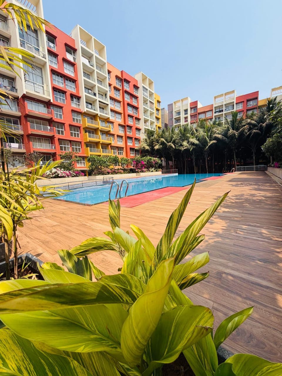 Property building, Pool view, Swimming pool, sunbed