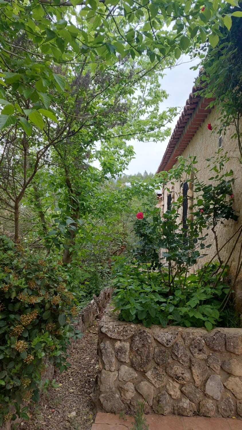 Casas rurales amable- yeste Nature lodge in Castile-La Mancha