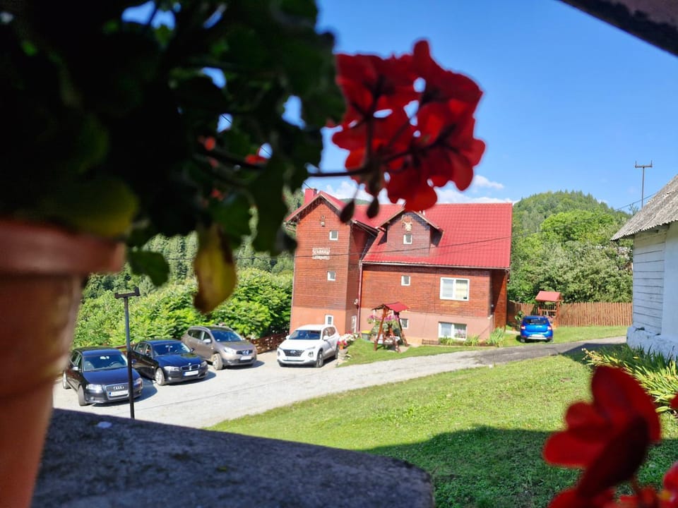 Pensiunea Cabana Viselor ,Apuseni Nature lodge in Cluj County