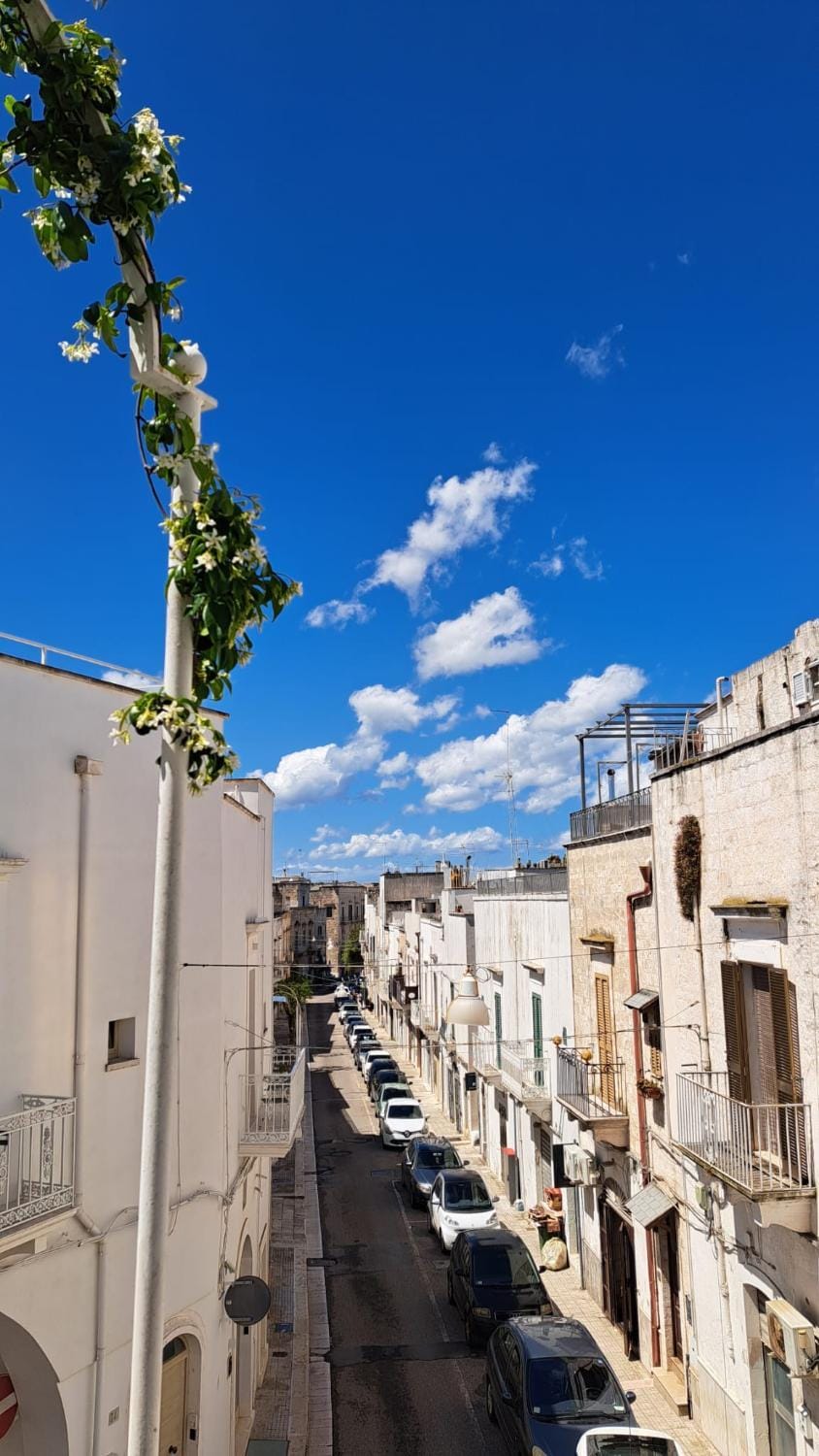 Day, Neighbourhood, City view, Street view, Parking