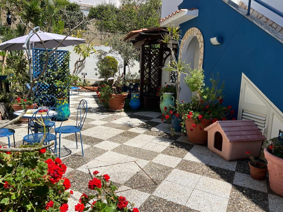 Garden, Garden view