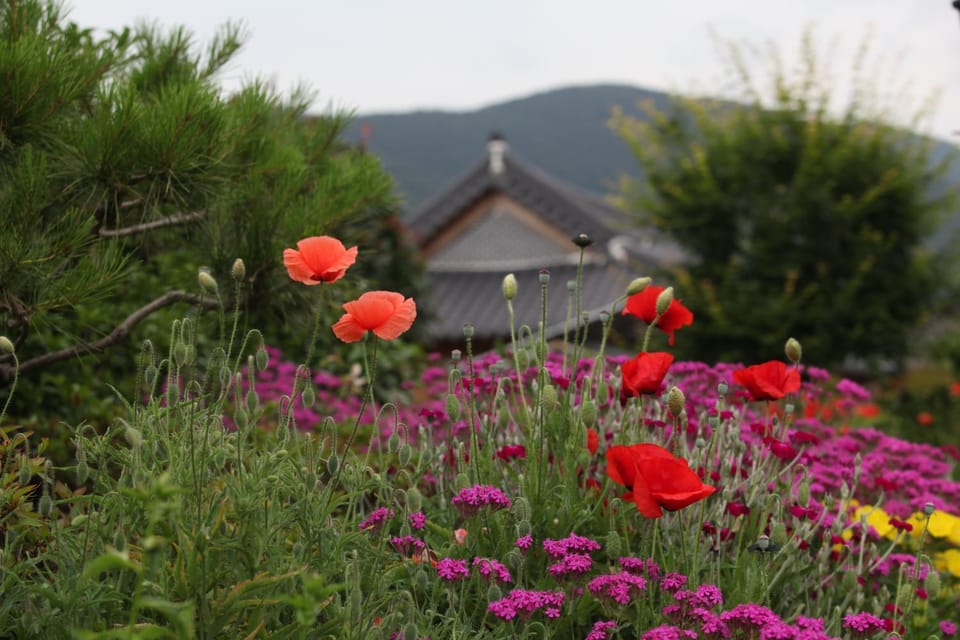 Mirinae Hanok Tradiational House Bed and Breakfast in South Korea
