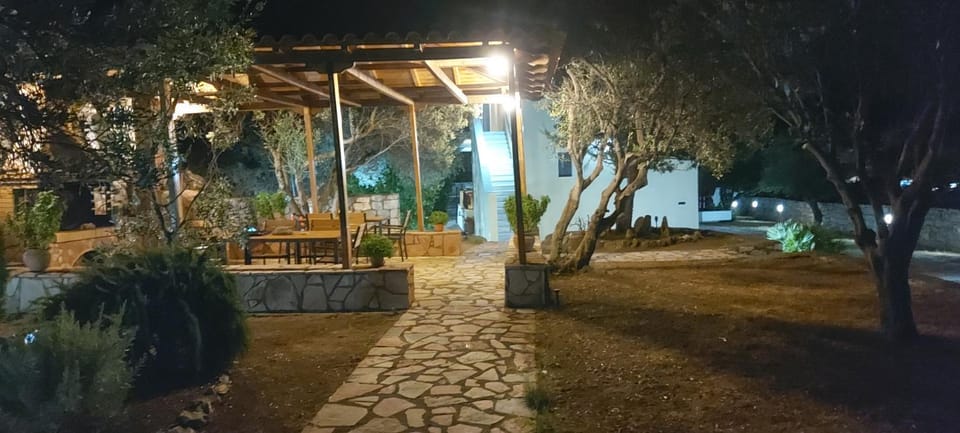 Night, Garden, Garden view