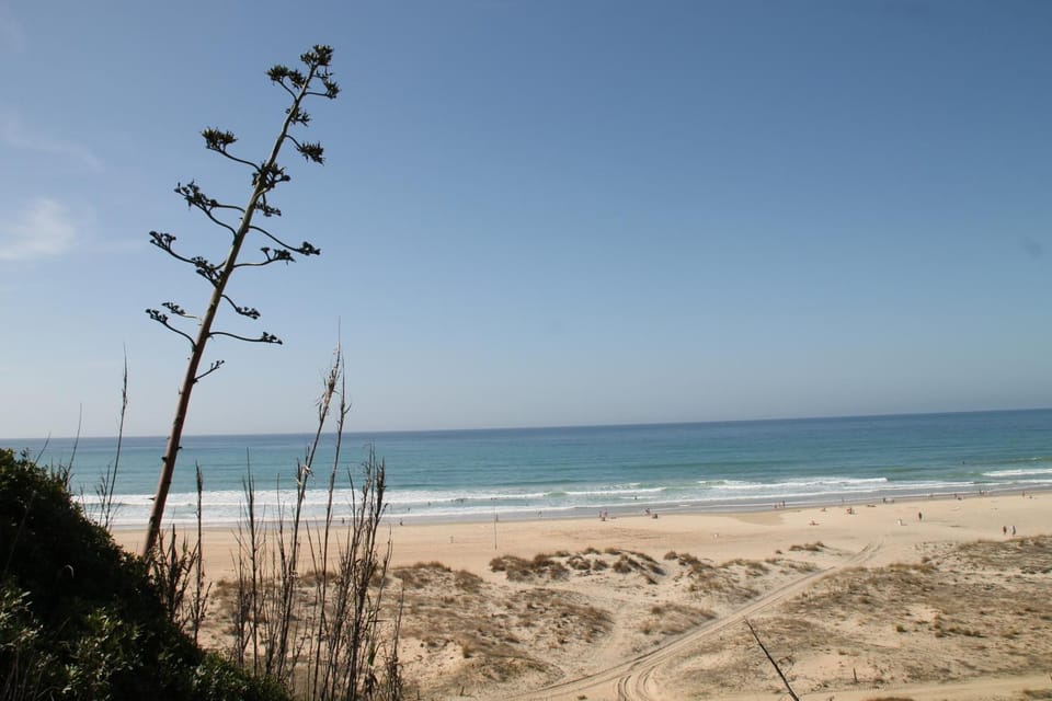 Natural landscape