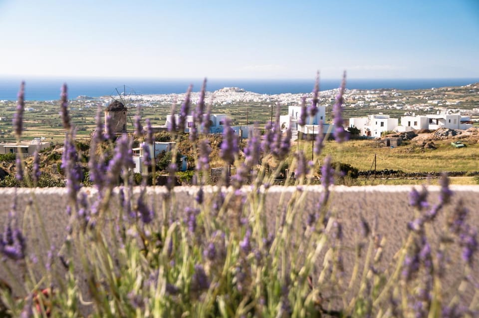 VILLA Marguerite - 3 air-conditioned bedrooms - Great SEA VIEW Apartment in Naxos, Naxos and Lesser Cyclades, Greece
