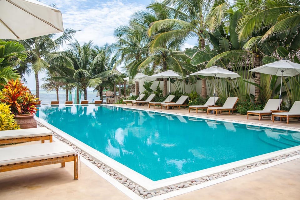 Swimming pool, Swimming pool