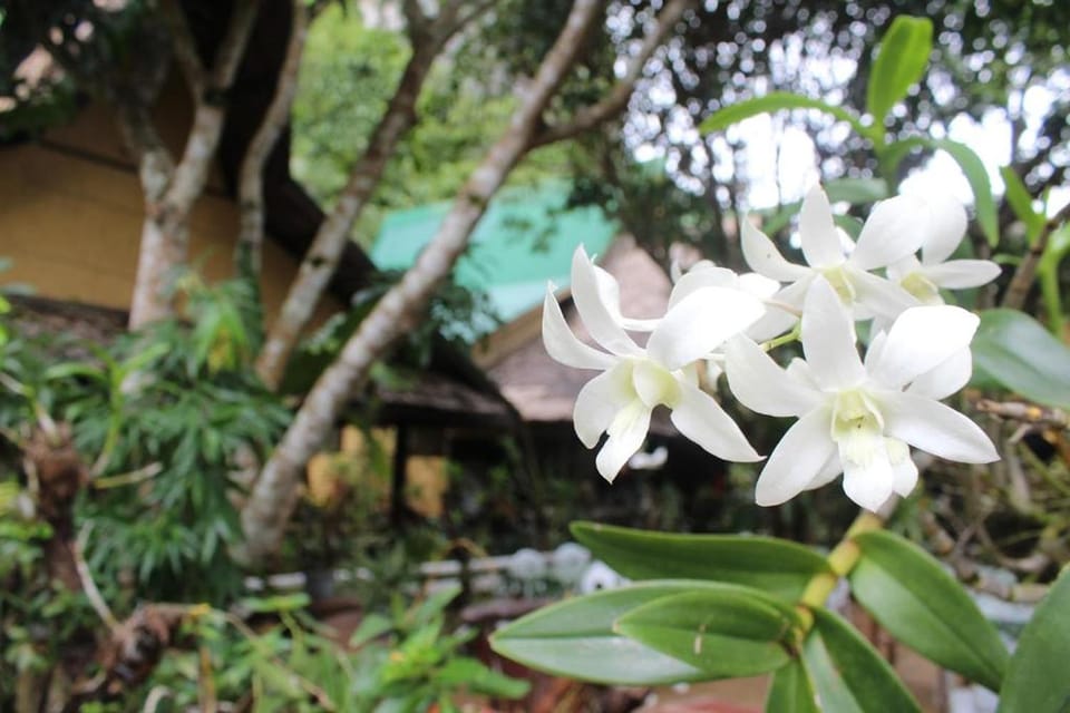 Garden, Garden view