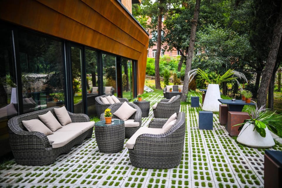 Patio, Spring, Garden, Lounge or bar, Seating area, Garden view